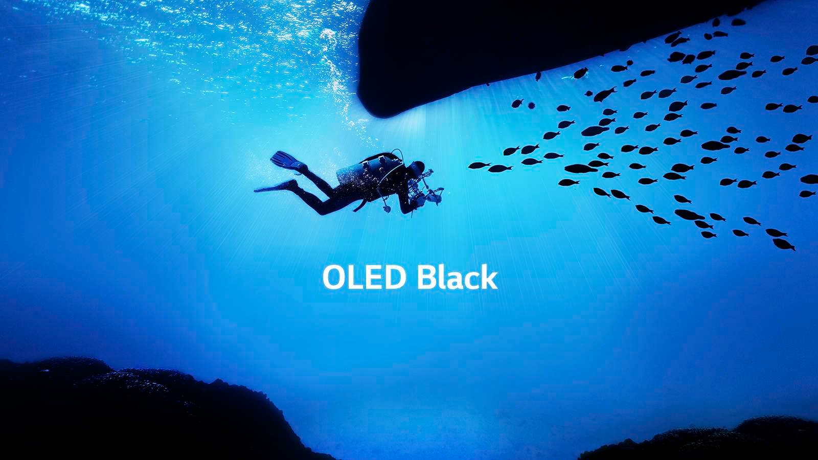 OLED W9