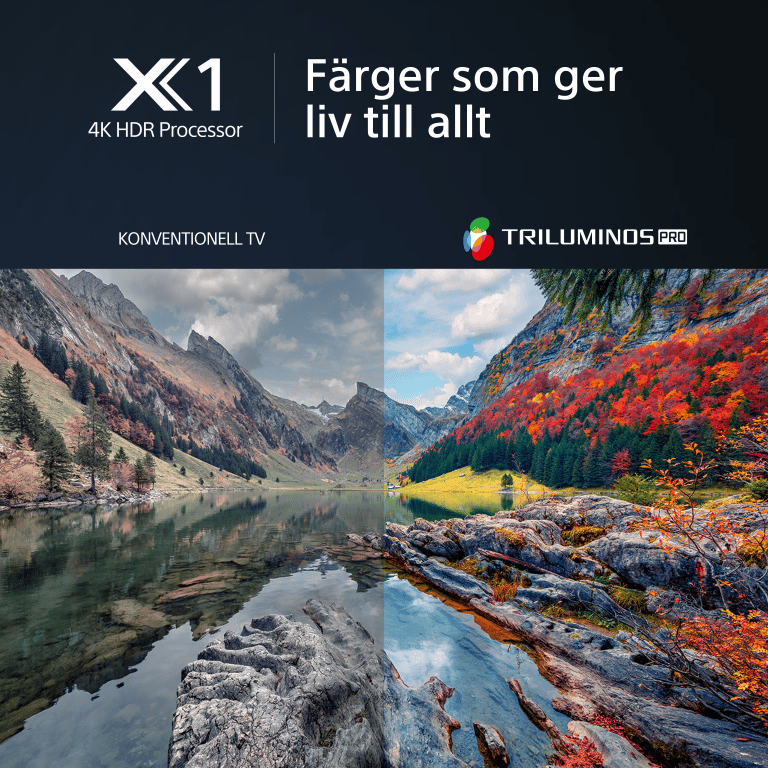 X80L