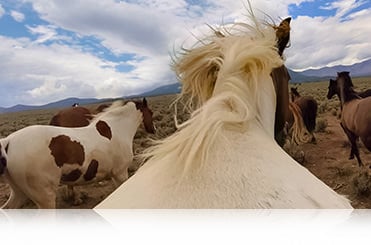 HERO 4 Black