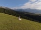 Fotograferat med DJI Mini 5 Pro