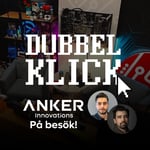 DK244