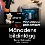 Månadens bildinlägg april 2025