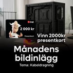 Månadens bildinlägg juni 2025