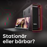Stationär eller bärbar?