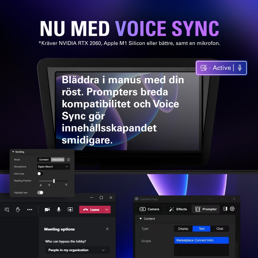 Voice sync