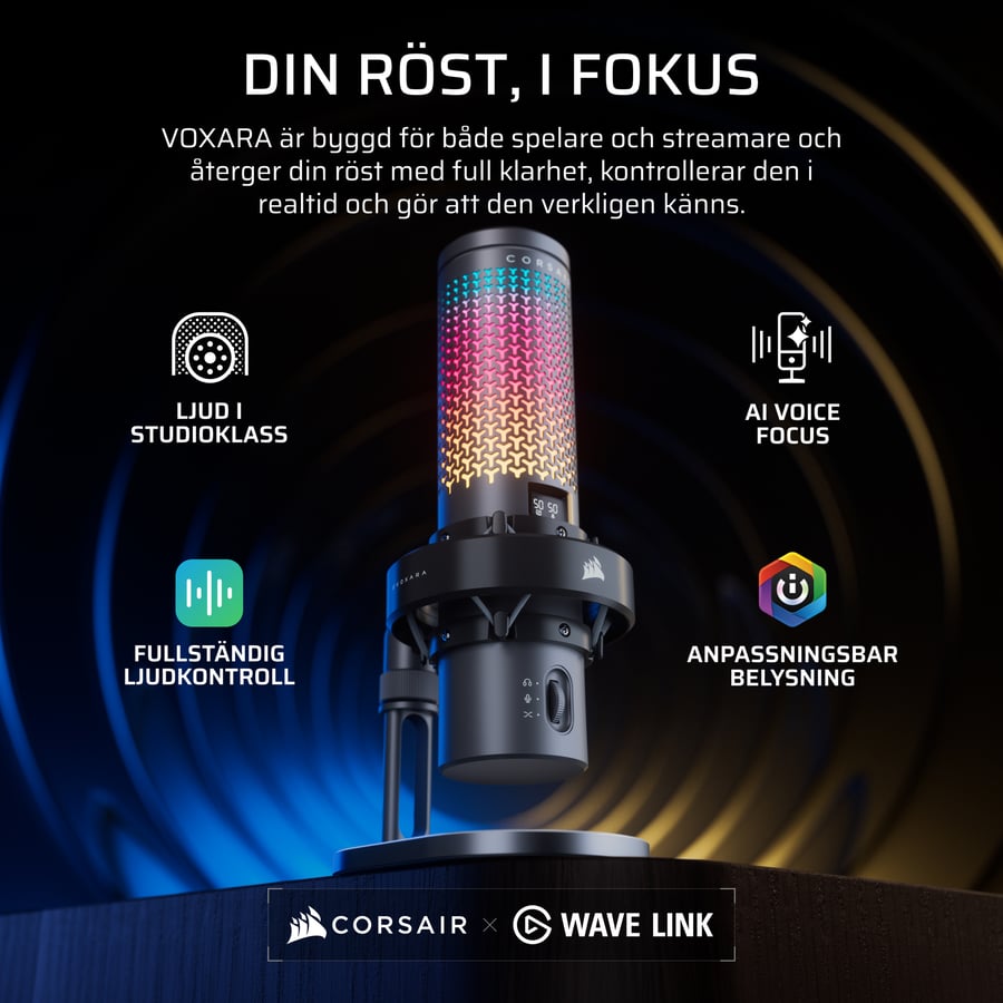 Röst i fokus