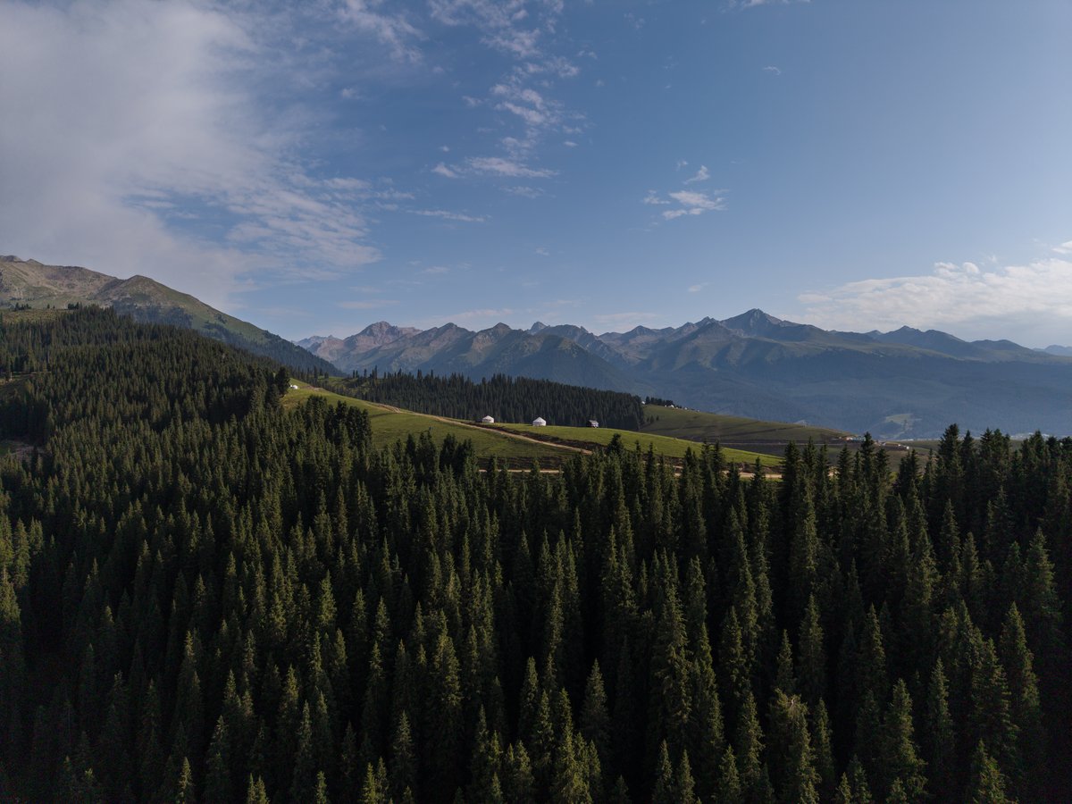 Fotograferat med DJI Mini 5 Pro
