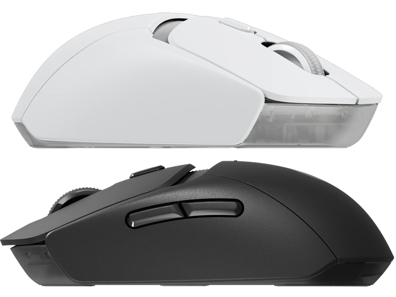 G309 vs G305