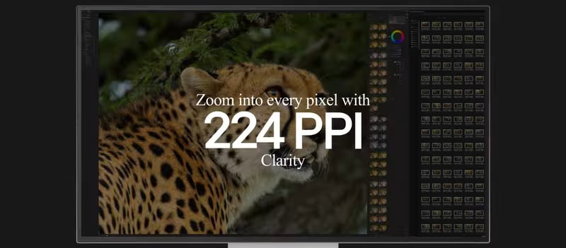 PPI