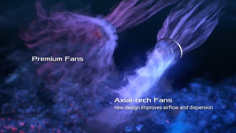 fans