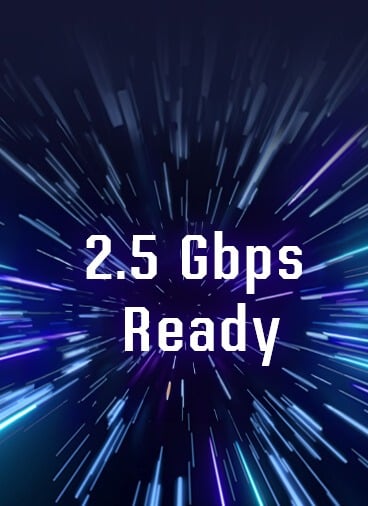 2.Gbps portar