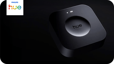 Hue Bridge Pro