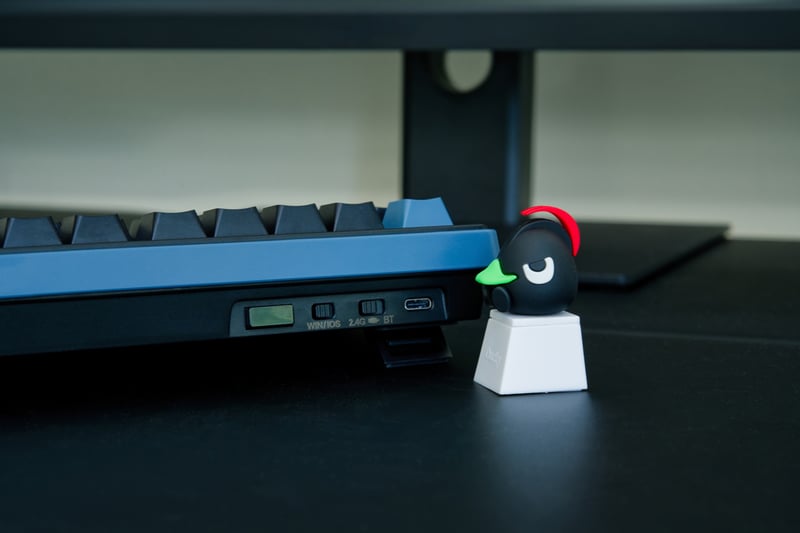 Ducky OM-M Connectivity