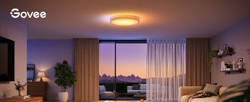 Govee Ceiling Light Pro