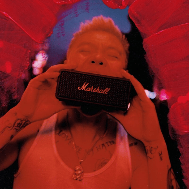 360-ljud med True Stereophonic