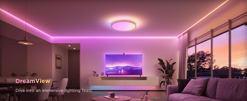 Govee Ceiling Light Pro