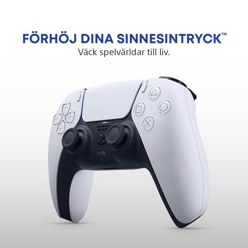Bild på dualsense