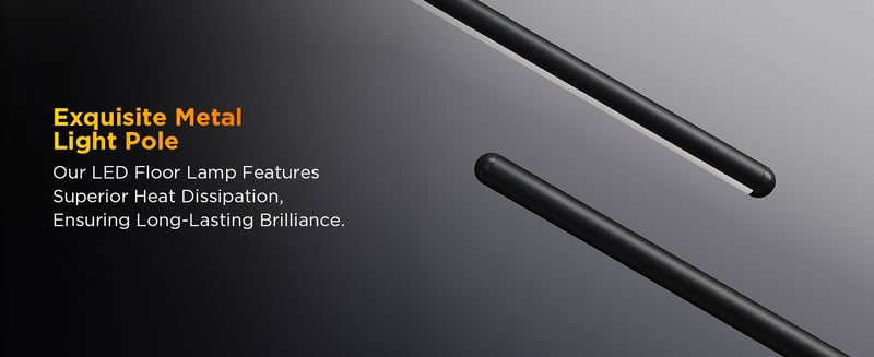 Govee Floor Lamp Lite