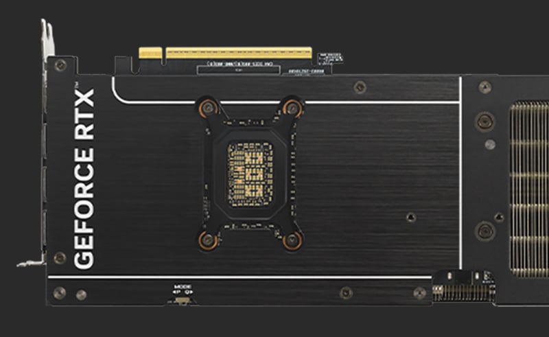 Protective Backplate