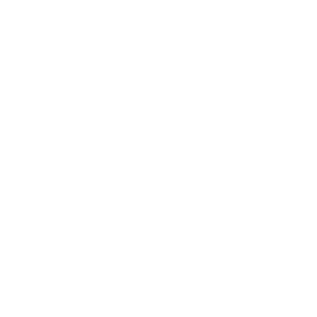 Multimedia