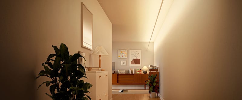 Govee strip light