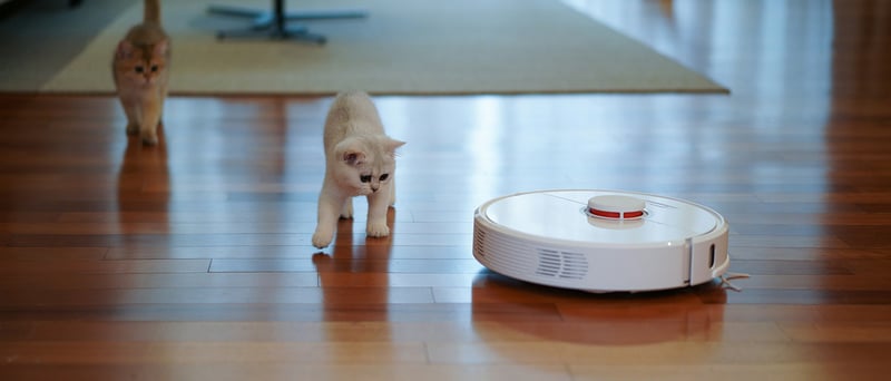 Robotdammsugare och två katter
