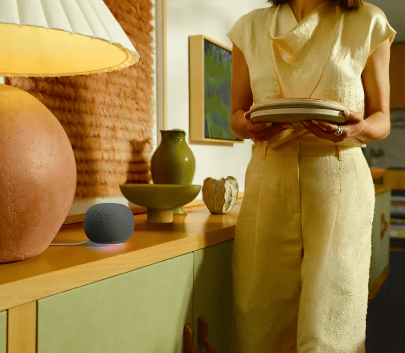 Google Home Speaker