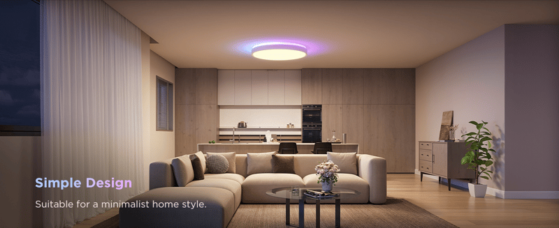 Govee Ceiling Light Pro
