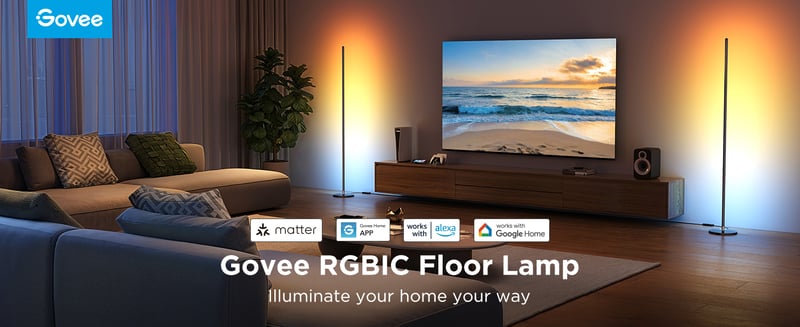 Govee Floor Lamp Lite