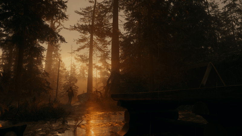Alan wake 2 screenshot