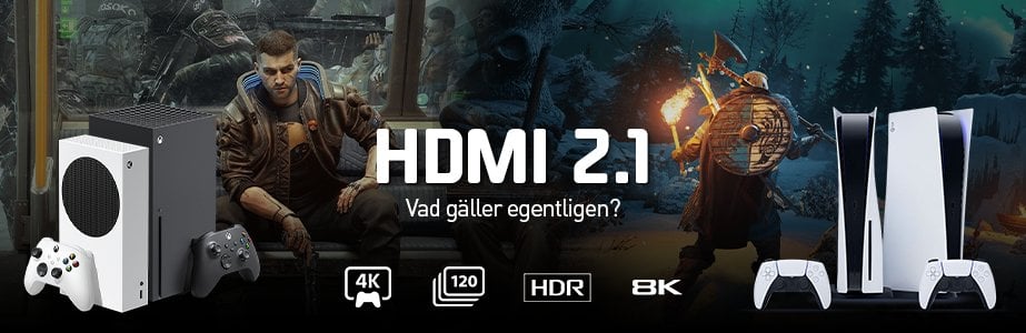 HDMI 2.1 - Datorskärm
