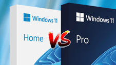 Windows 11 Pro Vs. Home