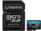 Kingston microSD 256GB Canvas Go! Plus