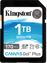 Kingston SD 1TB Canvas Go! Plus
