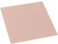 Thermal Grizzly Minus Pad 8 - 100x100x1 mm