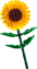 Produktbild 3