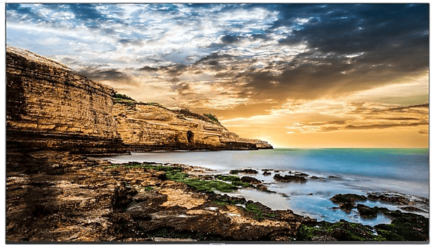 Samsung 65" QE65T 4K Digital Signage
