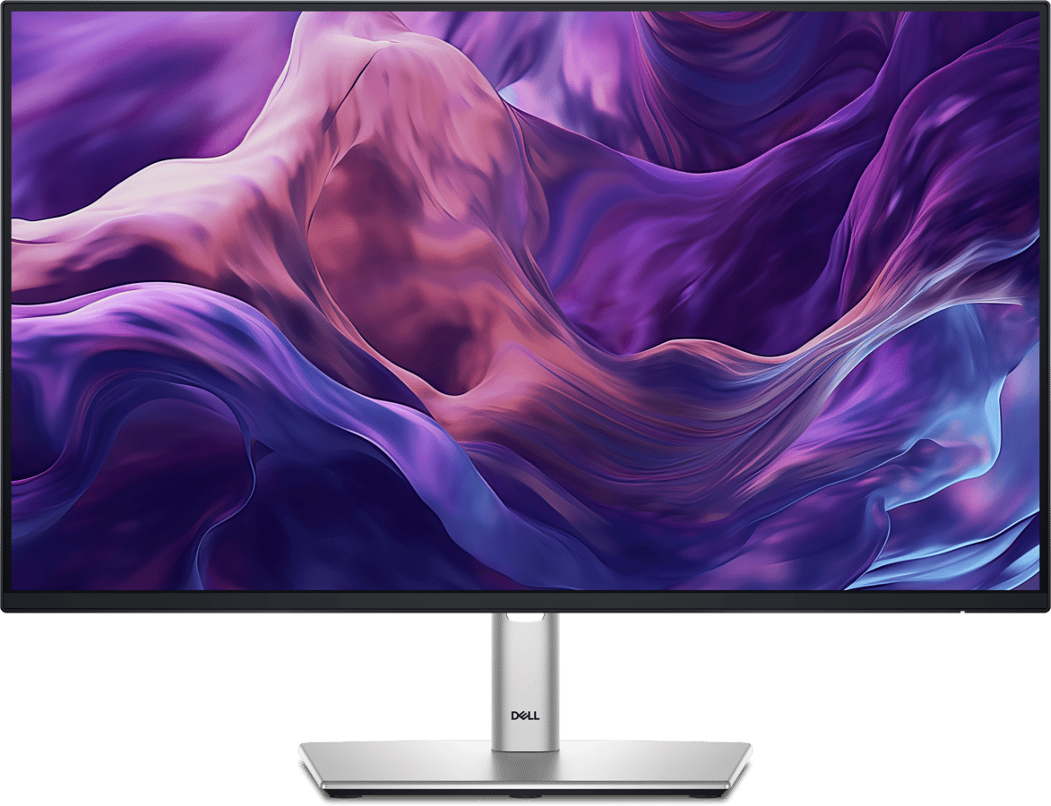 Dell 24" Pro Plus P2425H IPS 100 Hz