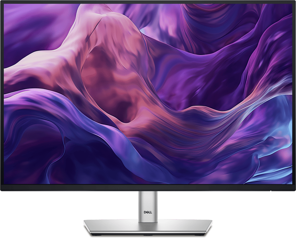 24" Pro Plus P2425 IPS 100 Hz