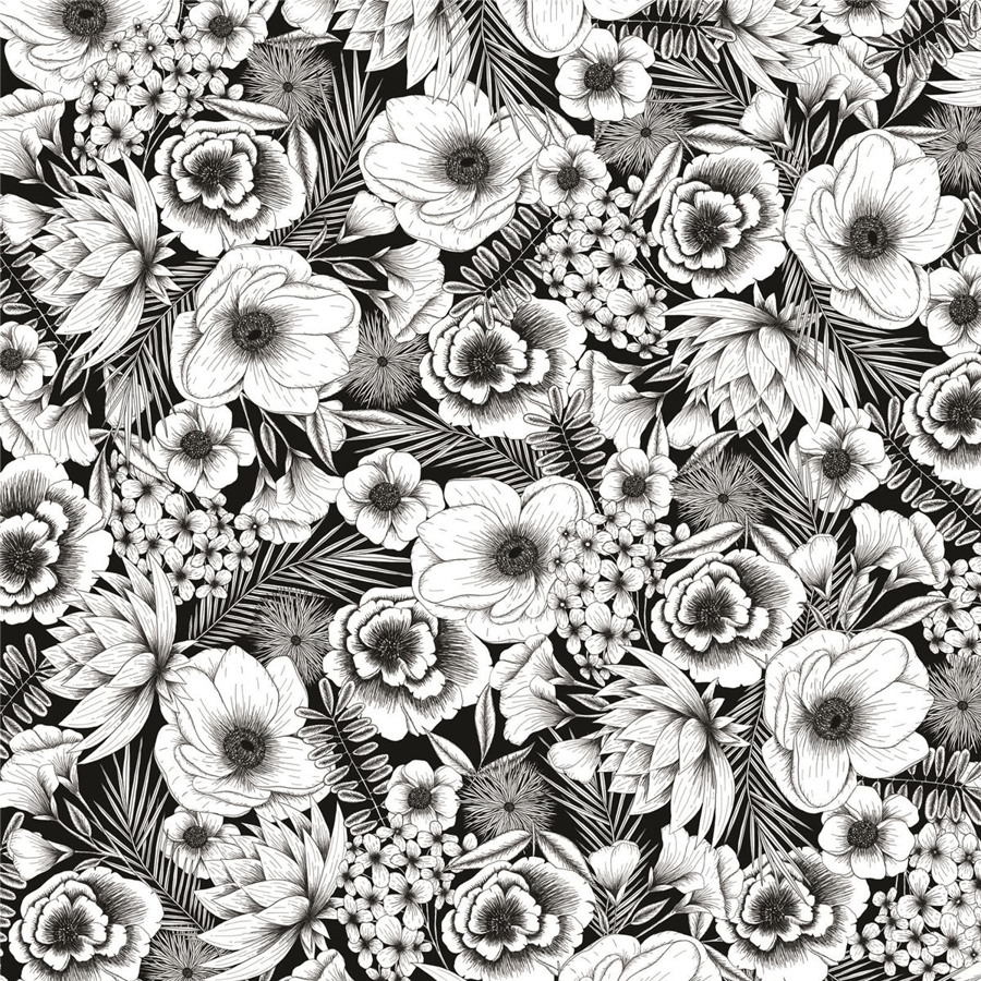Cricut Infusible Ink Transfer Sheets 2-pack (Black Botanicals)