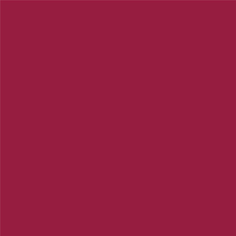 Cricut Infusible Ink Transfer Sheets 2-pack (Cabbage Rose)