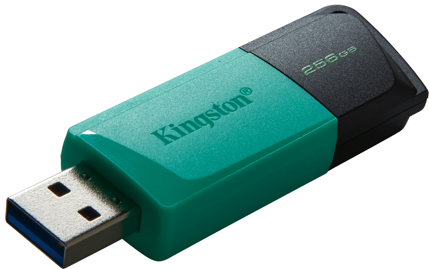 Kingston DataTraveler Exodia M 256GB