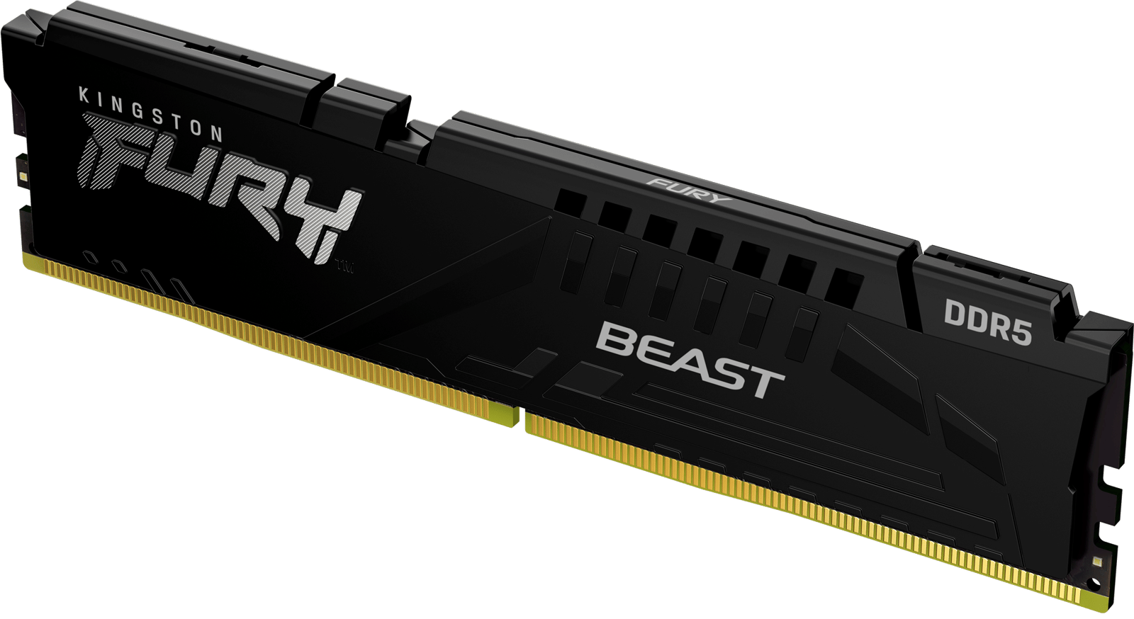 Kingston 16GB (1x16GB) DDR5 6000MHz CL30 FURY Beast Svart XMP 3.0