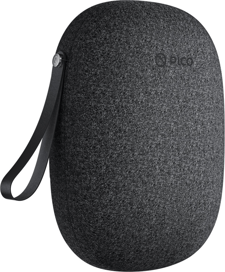 Pico VR Carrying Case