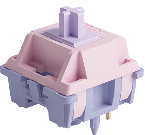 Akkogear Fairy Silent Switch 45pcs
