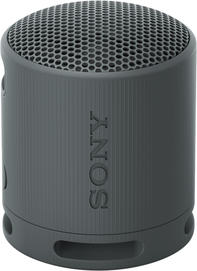 Sony SRS-XB100 Svart