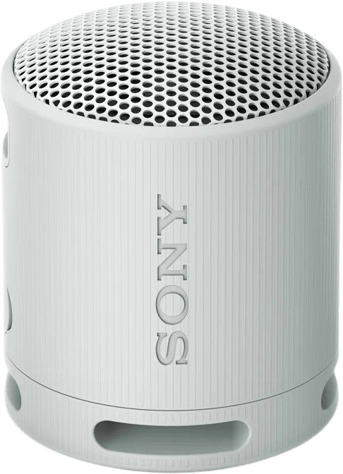 Sony SRS-XB100 Grå