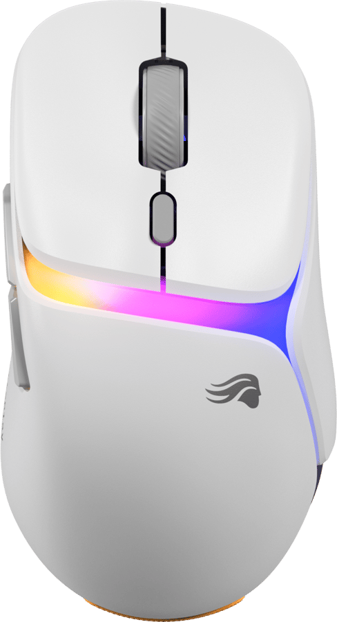 Glorious Model D 3 Wireless Vit