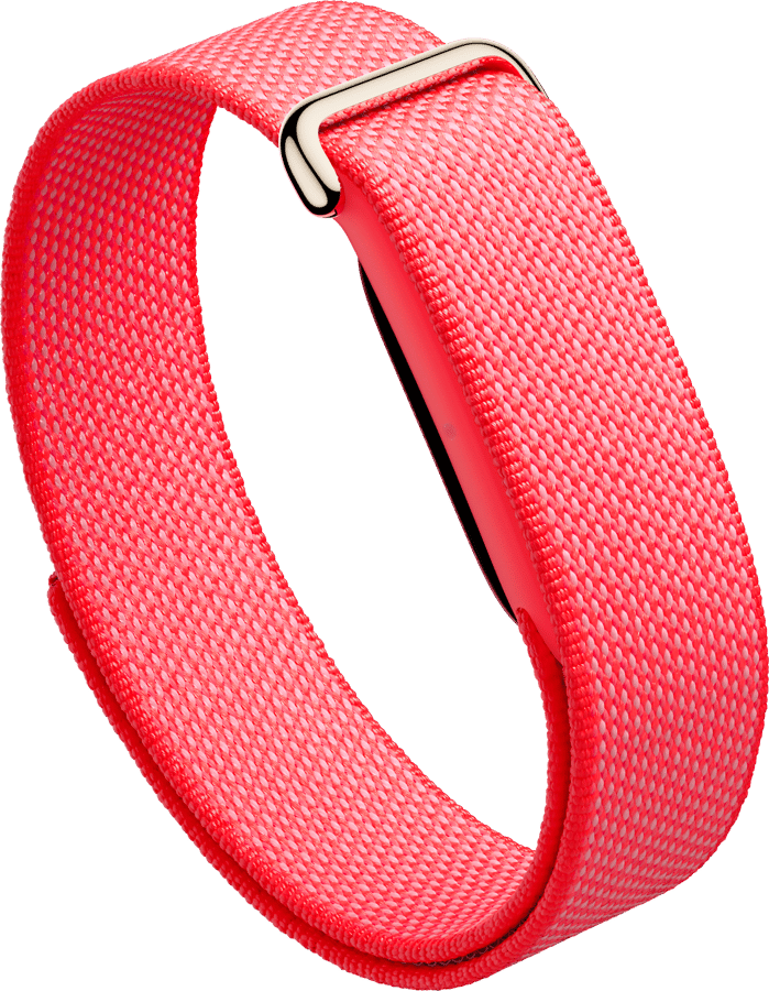 Google Fitbit Air Berry