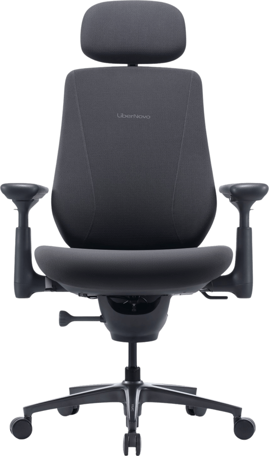 LiberNovo Maxis Electric - Graphite